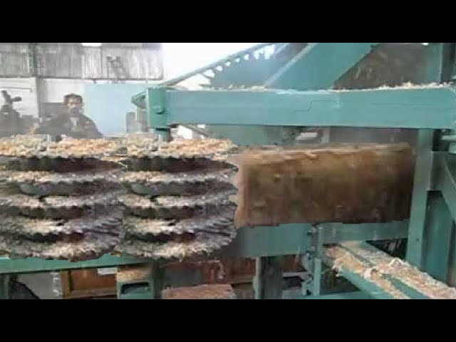 Dangerous Power Sawmill Cutting Wood so Sharpened, Fastest Automatic Cedar Sawmill Process Factory