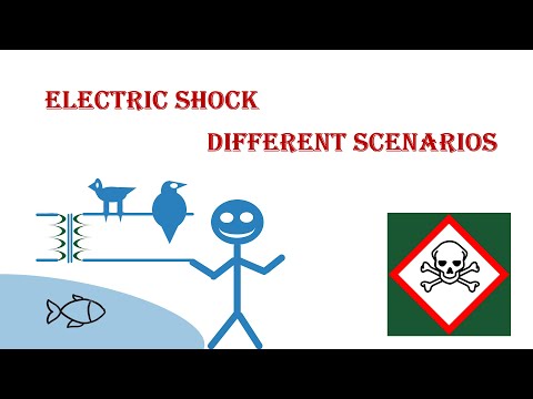 What happens when humans, bird or fish touches electric wire? Electric Shock,explained!