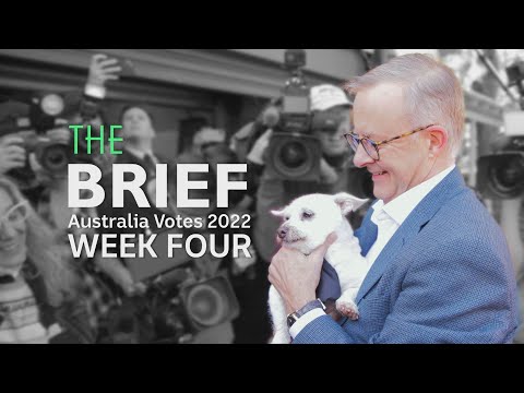 Mid-campaign rate rise, Albanese and Morrison feel the pressure | The Brief | ABC News