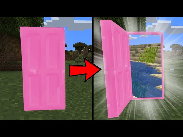 ANYWHERE DOOR in Minecraft !!!
