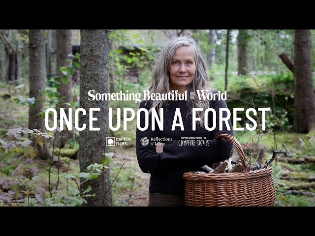 Rewilding A Forest | Artist and Poet Maria "Vildhjärta" Westerberg