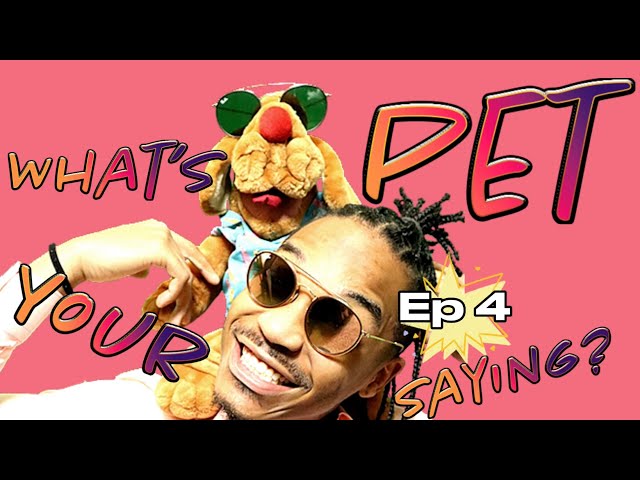 What’s Your Pet Saying? Episode 4 by RxCKSTxR