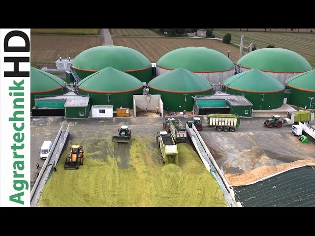 Maize harvest for biggest biogas plant | Claas Jaguar 980 with FENDT tractors