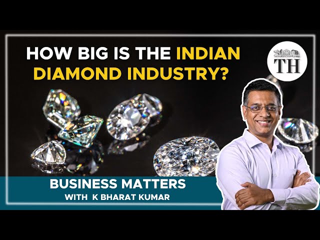 Business Matters | How will West's upcoming sanctions impact India's diamond industry? | The Hindu