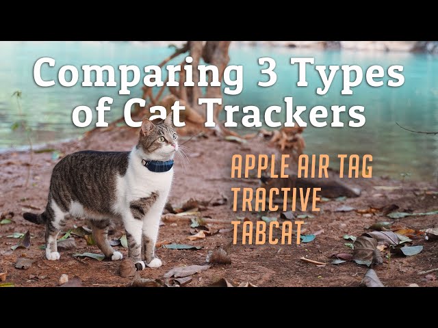 Comparing 3 Different Cat Tracker // AirTag vs TabCat vs Tractive