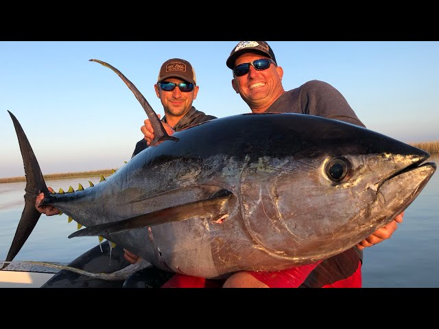 Massive Yellowfin Tuna Vs Big Blackfin Tuna {Catch Clean Cook} blind Taste test!