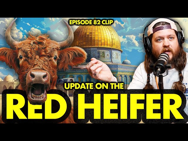 Update On The Red Heifer Sacrifice In Israel | Ninjas Are Butterflies