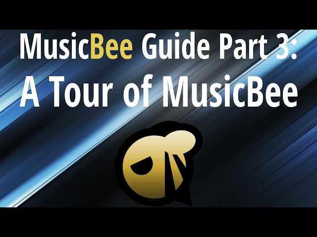MusicBee Guide Part 3: A Tour of MusicBee