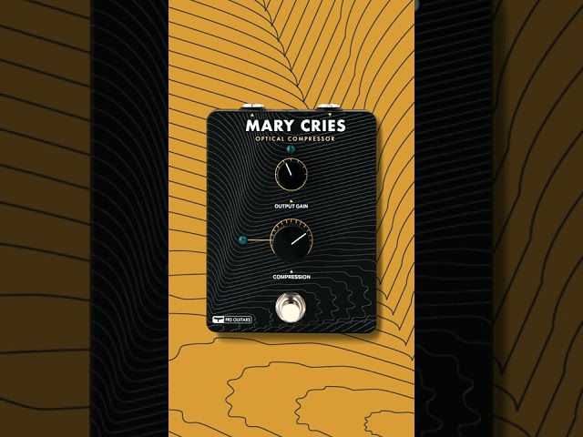 Mary Cries: Slap Bass Compression | Tone Sample | PRS Guitars #shorts