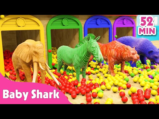 Baby Shark Dance and more | Animal Songs | Car Songs | Pinkfong Songs for Children