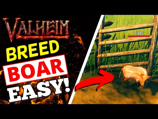Valheim - How To Breed Boar! EASY METHOD!