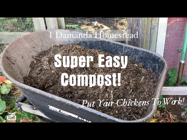 Easy Compost! Use Your Backyard Chickens!