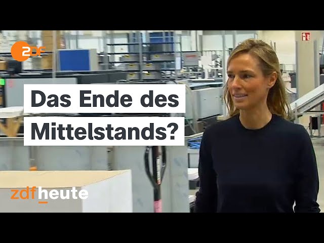 Familienunternehmen unter Druck: Droht Deutschland die Deindustrialisierung? | Berlin direkt