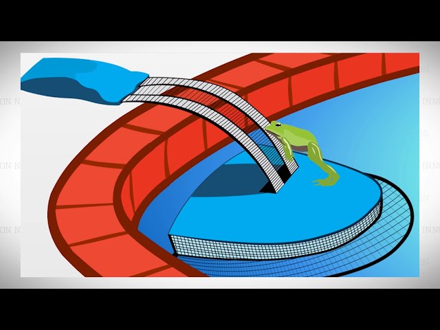 Pool Escape Ramp for Critters | The Henry Ford’s Innovation Nation