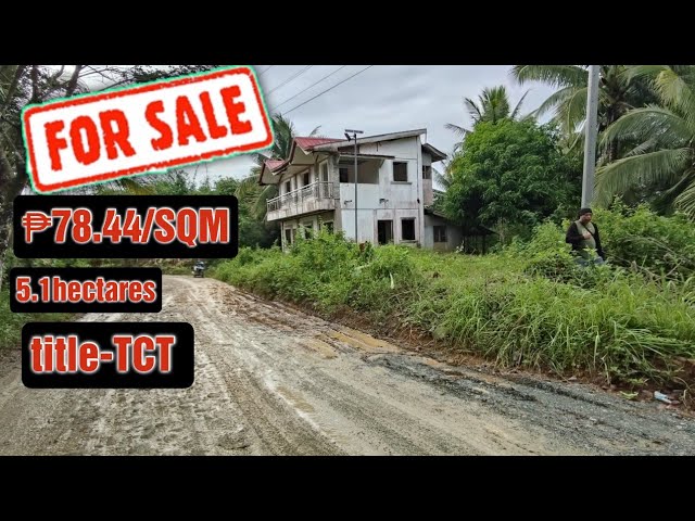 #80 coconut farm for sale in Calauag Quezon province
