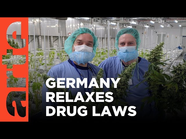 Cannabis for All (Re-upload) | ARTE.tv Documentary