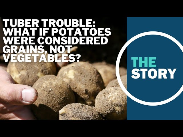 Should potatoes be reclassified as grains?