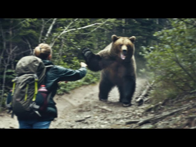 Woman Encounters Grizzly Bear While Hiking GONE WRONG...