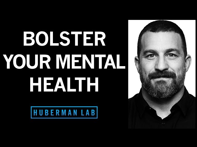 Mental Health Toolkit: Tools to Bolster Your Mood & Mental Health