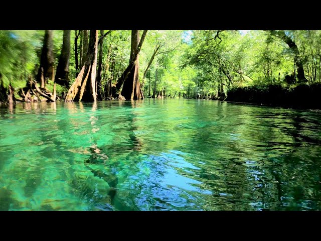 Relaxing Float Down Florida's Ichetucknee River