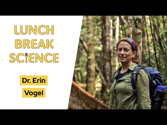 Lunch Break Science #44 | Dr. Erin Vogel