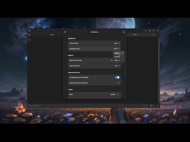 Why Terminal has an option for rounded corners | GNOME 46