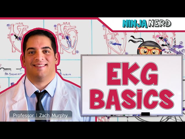 EKG Basics | How to Read & Interpret EKGs: Updated Lecture