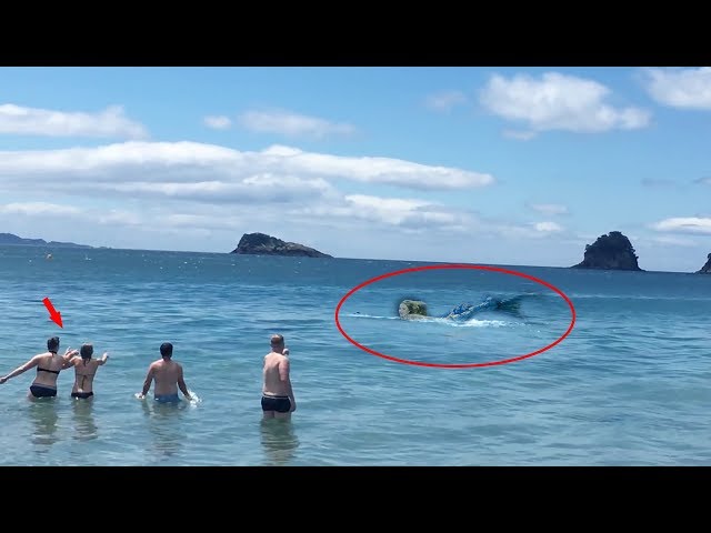 7 Real Life Mermaid Sightings Caught On Camera #2