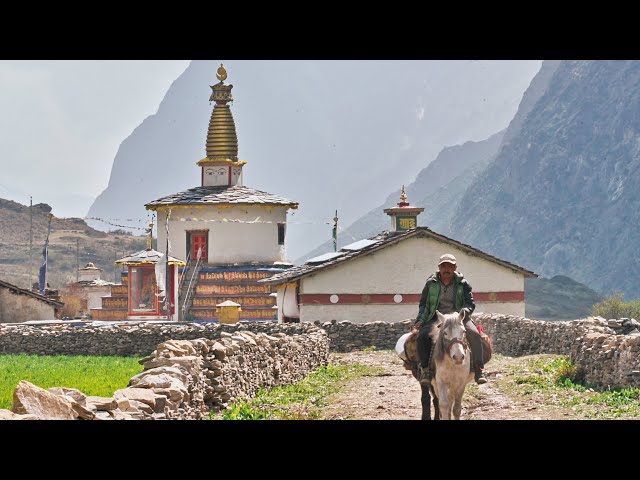 The Last Tibetan Village of Gorkha 4K - Tsum Valley Trek in 2024