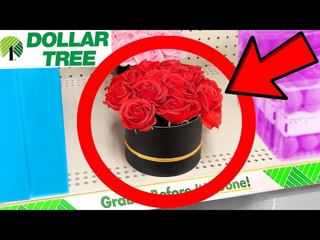 10 Things You SHOULD Be Buying at Dollar Tree in February 2023