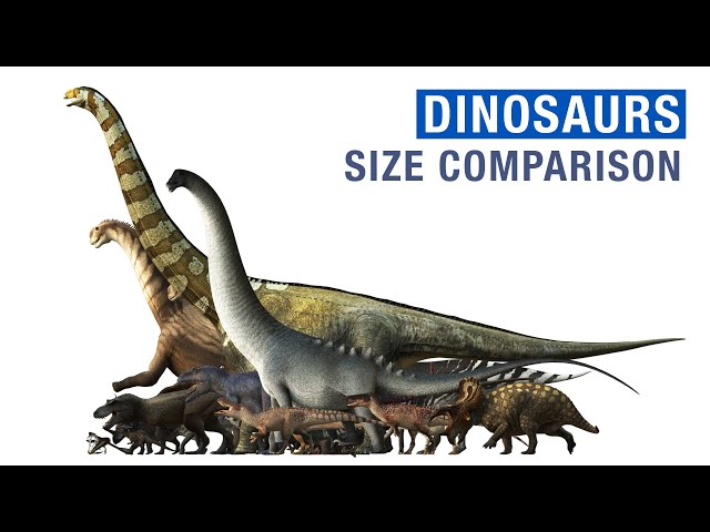 Dinosaurs Size Comparison 2022!