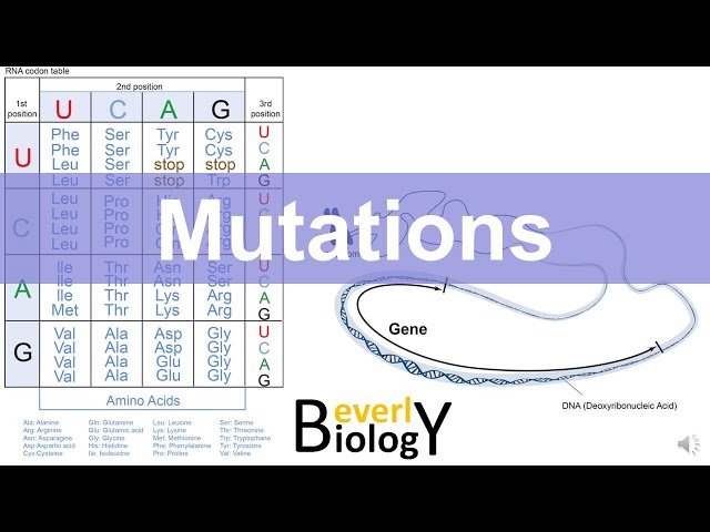 Mutations (updated)
