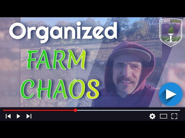 Organized Chaos on the Cattle Farm - Stuart Dill Farms - A Legacy Farmer Documentary