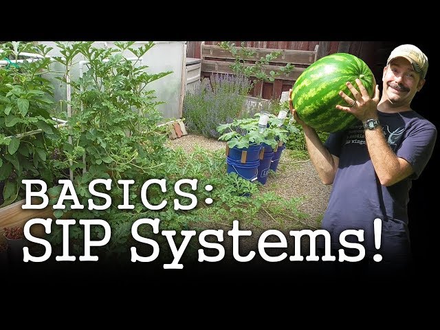 Self-watering Planter Basics: How to Design DIY Gardening, Sub-irrigated, Wicking Beds (Albopepper)