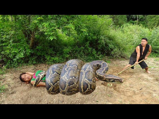 Primitive Life: Sleeping Meet Giant Anaconda Python Underground Crack - Skills Catch Big Python