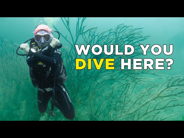 Diving in Langkawi: Is it Worth it? | Malaysia Travel Vlog (EP 6)
