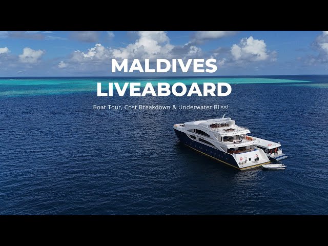 Maldives Liveaboard: Boat Tour, Cost Breakdown, Logistics & Underwater Bliss!