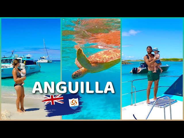 ANGUILLA: ALL the Top Sights on a DAY TRIP from Saint Martin