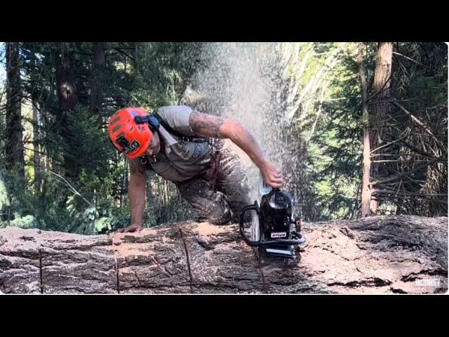Stihl 500i put to the test and passed