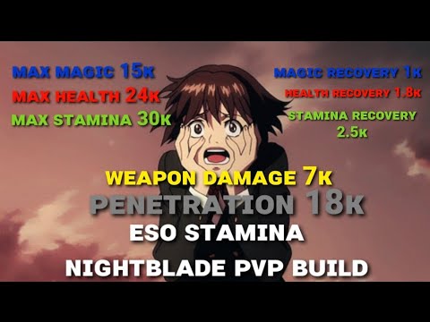 Stamina NightBlade PvP Builds