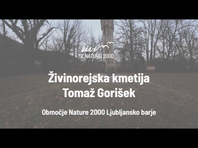 Živinorejska kmetija Tomaž Gorišek na območju Nature 2000 Ljubljansko barje