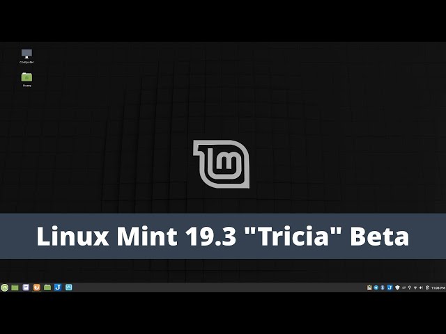 Linux Mint 19.3 "Tricia" Beta - Early Feedback and Chat