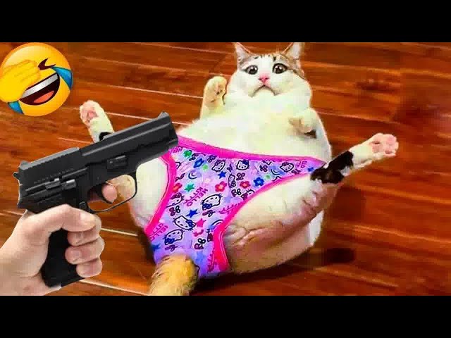 Best Funniest Animal Videos 2024😻🐕‍🦺Funny Dogs And Cats Videos Of The year😻#4