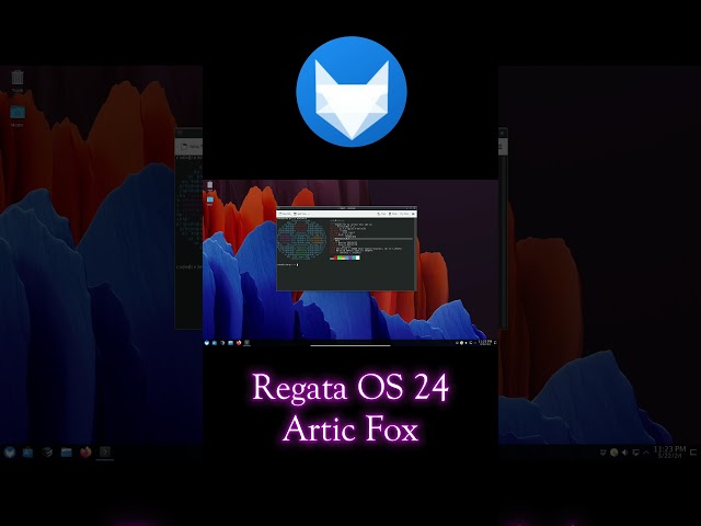 Regata OS 24 : Artic Fox  #regata  #gaming #linux
