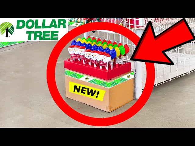 10 Things You SHOULD Be Buying at Dollar Tree in December 2022