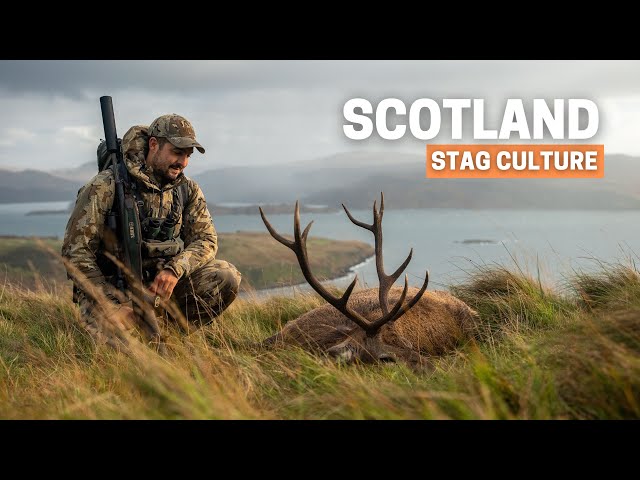 STALKING Red Deer in the HIGHLANDS 💥 STAG Culture SCOTLAND