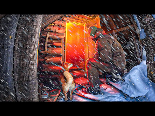 I found a broken old log cabin in the dark woods and tried to repair it! I hid in a log cabin
