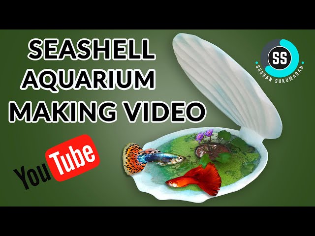 DIY SEASHELL AQUARIUM MAKING VIDEO |