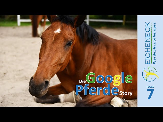 Glocken | Die Google Pferde Story Folge 7