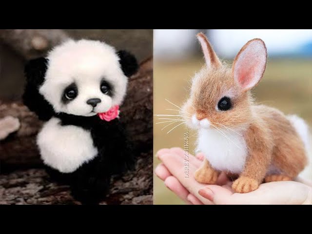 Cute baby animals Videos Compilation cute moment of the animals - Cutest Animals #21
